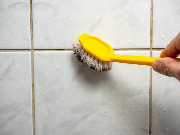 Best Home Mold Removal  in Steamboat Springs, CO