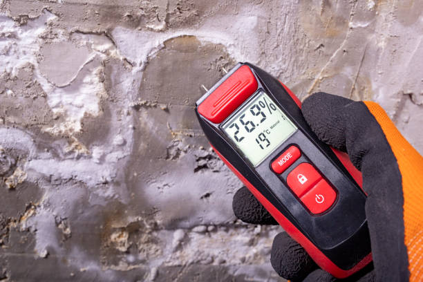 Best Mold Testing  in Steamboat Springs, CO